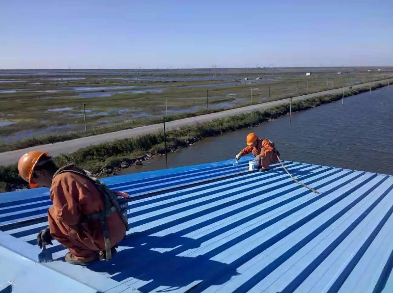 泰州彩钢瓦屋面防腐翻新